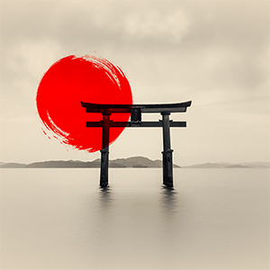lucy® japan